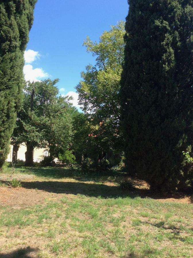 Art Home Bnb Carcassonne Bagian luar foto
