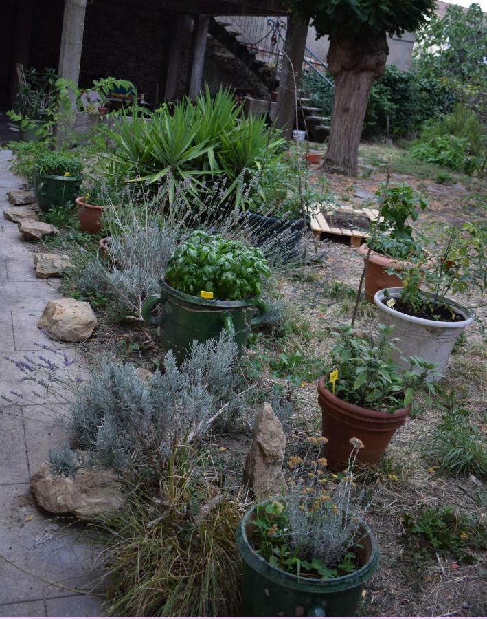 Art Home Bnb Carcassonne Bagian luar foto